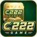 C222-game