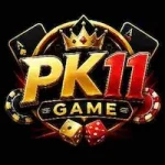 PK11-game
